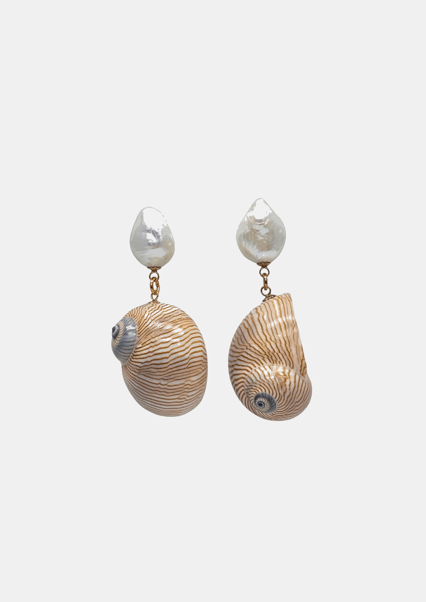 Boucles d'oreilles coquillage Line